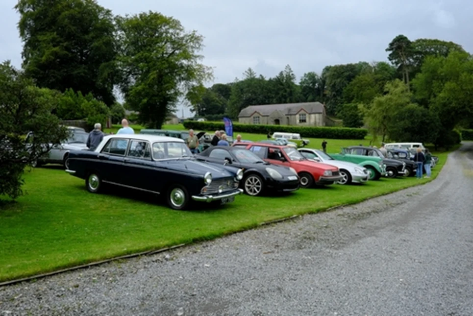 Many classic car on show in a field